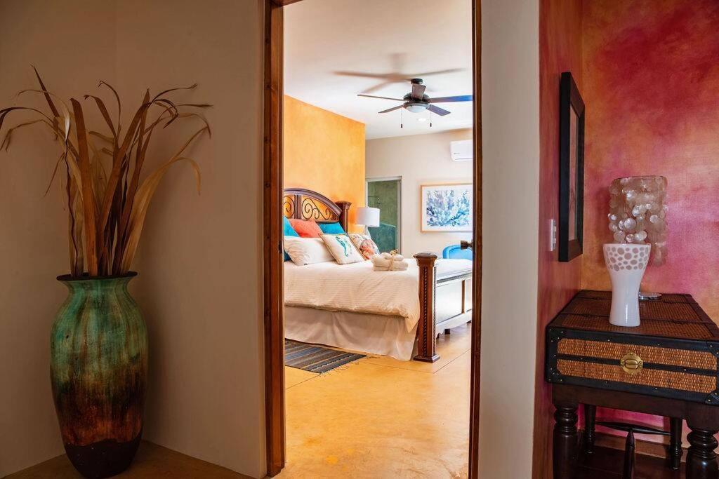 فيلا Casa Oasis لاباز المظهر الخارجي الصورة